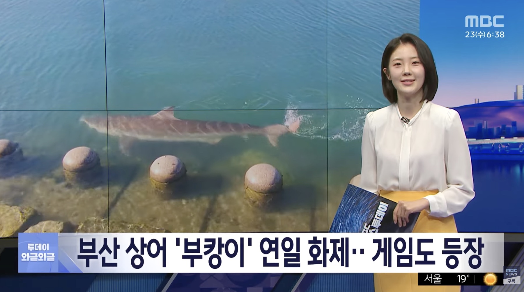 MBC · 부산 상어와 웹게임 보도
