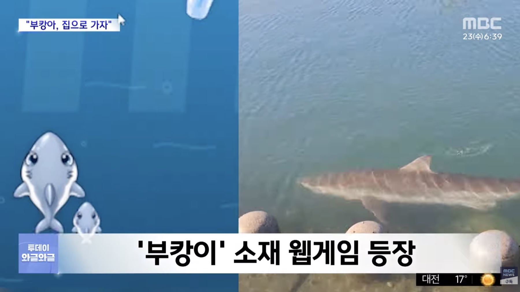MBC · 실제 상어와 게임 캐릭터